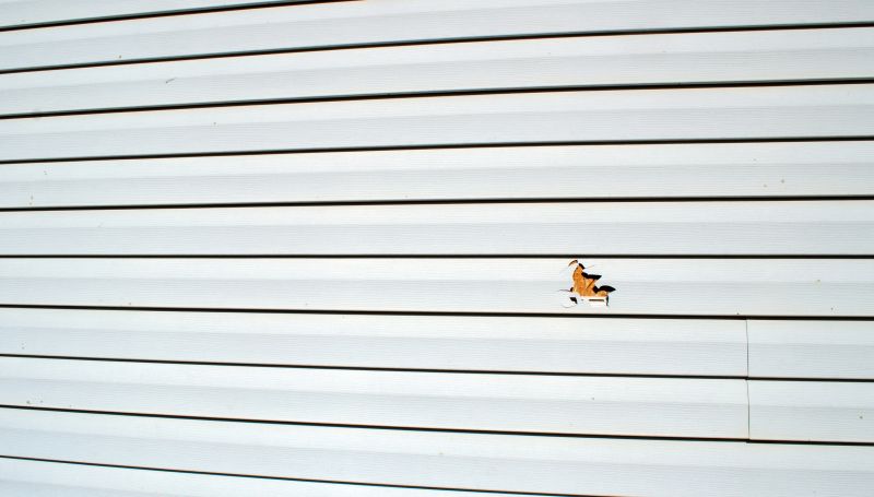 Seamless Vinyl Siding Fixes